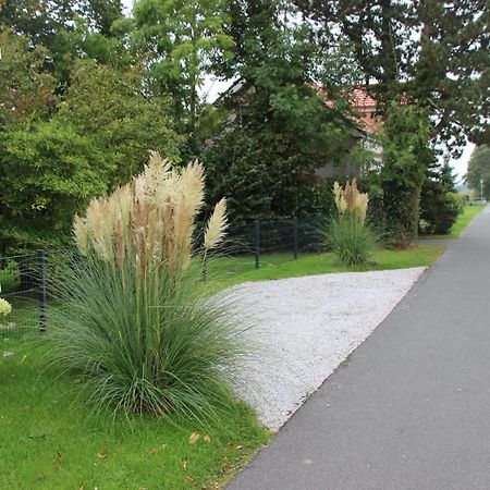 Fewo Nordseeflair Eg - Wiarden Exterior photo